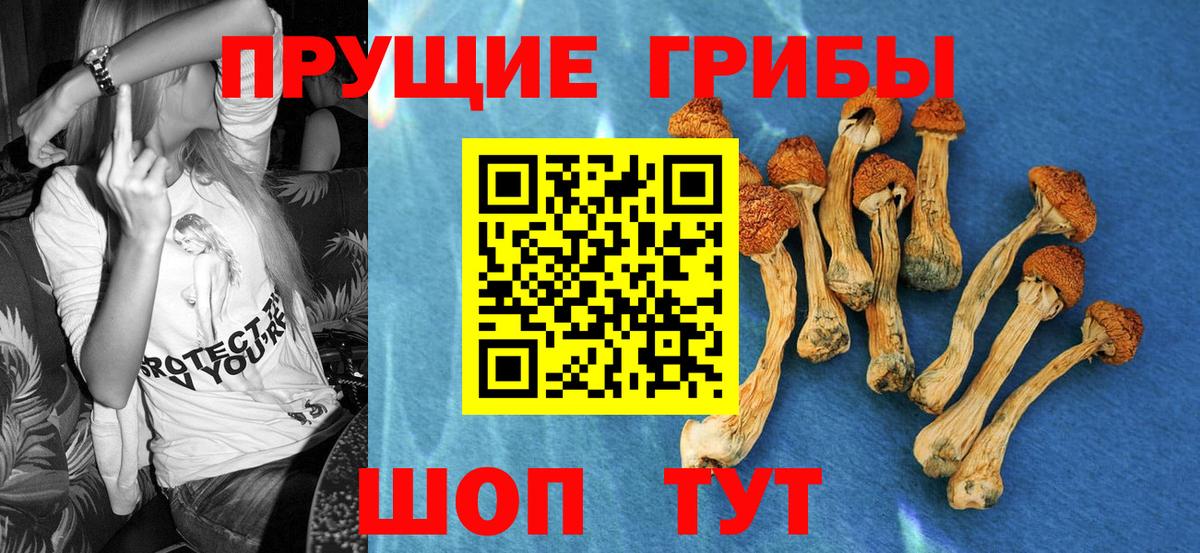 Мегион  Галлюциногенные грибы MAGIC MUSHROOMS  Вход с VPN 